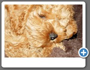  ...und von unten seitlich kann ich auch alles sehen.