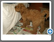 Das gilt auch für dich da oben auf der Couch!
07.02.14