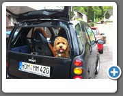...oder auch im kleinen Gefährt