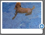 Ab und zu schwimme ich eine Runde