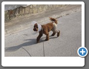 Aber mit Tigerentenhöschen bin ich doch auch ganz schick, oder??
